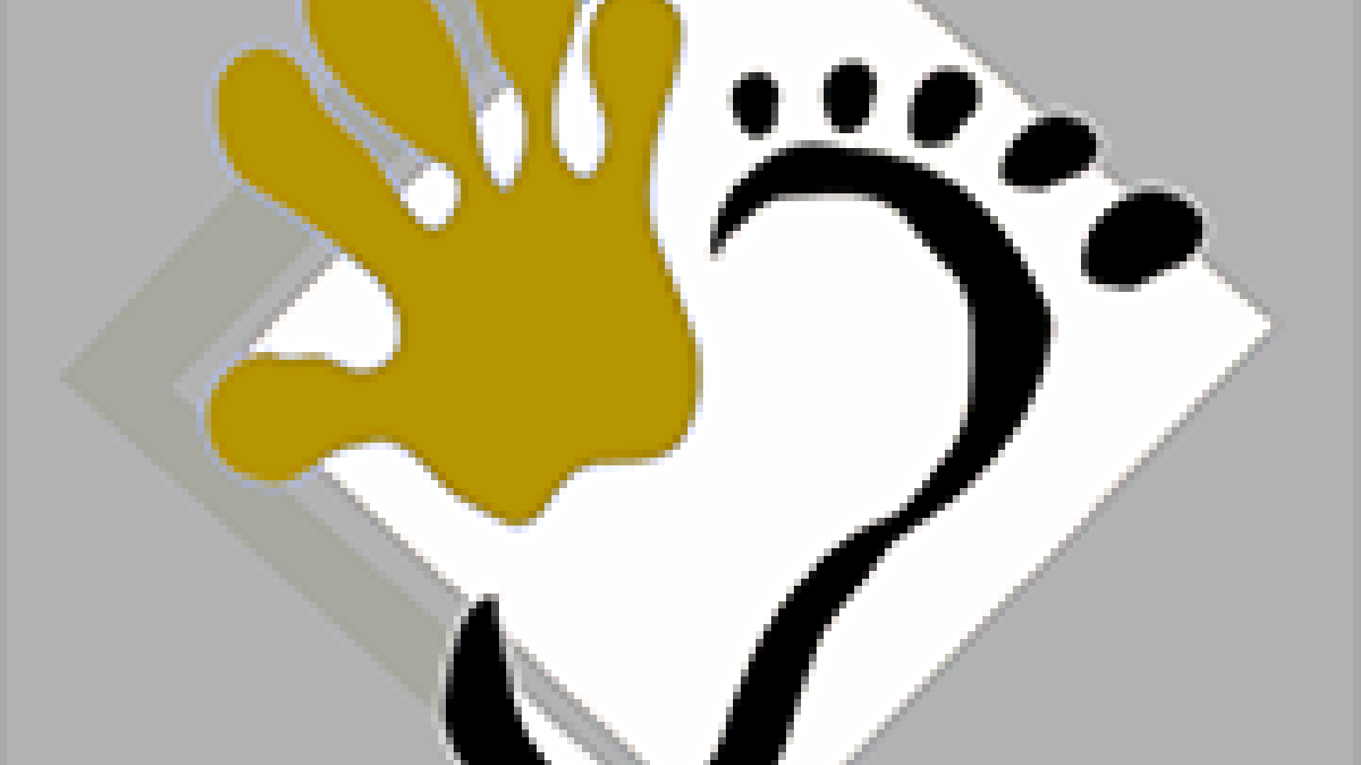 OSTEOPATIA Y PODOLOGIA AMETS - RAQUEL